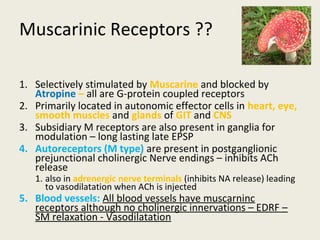 Muscarinic Receptors ??
1. Selectively stimulated by Muscarine and blocked by Atropine – all are G-
protein coupled receptors
2. Primarily located in autonomic effector cells in heart, eye, smooth muscles
and glands of GIT and CNS
3. Subsidiary M receptors are also present in ganglia for modulation – long
lasting late EPSP
4. Autoreceptors (M type) are present in postganglionic prejunctional
cholinergic Nerve endings – inhibits ACh release
1.also in adrenergic nerve terminals (inhibits NA release) leading to vasodilatation when
ACh is injected
5. Blood vessels: All blood vessels have muscarninc receptors although no
cholinergic innervations – EDRF – SM relaxation -Vasodilatation
 