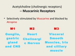 Acetylcholine (cholinergic receptors)
– Muscarinic Receptors
M1 M2 M3
Ganglia,
gastric
gland and
CNS
Heart
Cholinergic
Nerves
Visceral Smooth
Muscles, Iris and
cilliary muscle
Selectively stimulated by Muscarine and blocked by Atropine
 
