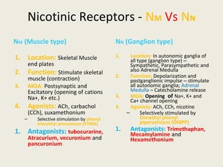 Nicotinic Receptors - NM Vs NN
NM (Muscle type)
1. Location: Skeletal Muscle end plates
2. Function: Stimulate skeletal muscle
(contraction)
3. MOA: Postsynaptic and Excitatory
(opening of cations Na+, K+ etc.)
4. Agonists: ACh, carbachol (CCh),
suxamethonium
– Selective stimulation by phenyl trimethyl
ammonium (PTMA)
1. Antagonists: tubocurarine, Atracurium,
vecuronium and pancuronium
NN (Ganglion type)
1. Location: In autonomic ganglia of all type
(ganglion type) – Sympathetic,
Parasympathetic and also Adrenal Medulla
2. Function: Depolarization and postganglionic
impulse – stimulate all autonomic ganglia;
Adrenal Medulla – Catecholamine release
3. MOA: Opening of Na+, K+ and Ca+ channel
opening
4. Agonists: ACh, CCh, nicotine
– Selectively stimulated by Dimethyl
phenyl piperazinium (DMPP)
1. Antagonists: Trimethaphan,
Mecamylamine and Hexamethonium
 