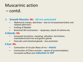 Muscarinic action
– contd.
3. Smooth Muscles: M3 - All are contracted
– Abdominal cramps, diarrhoea – due to increased peristalsis and relaxed sphincters
– Voiding of Bladder
– Bronchial SM contraction – dyspnoea, attack of asthma etc.
4.Glands: M3
– Increased secretions: sweating, salivation, lacrimation, tracheobronchial tree and gastric glands
– Pancratic and intestinal glands – less prominen
5.Eye: M3
– Contraction of circular fibres of Iris – miosis
– Contraction of Ciliary muscles – spasm of accommodation, increased outflow and reduction in
IOP
 