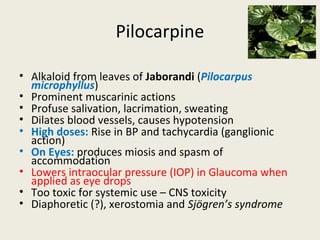 Pilocarpine
• Alkaloid from leaves of Jaborandi (Pilocarpus microphyllus)
• Prominent muscarinic actions
• Profuse salivation, lacrimation, sweating
• Dilates blood vessels, causes hypotension
• High doses: Rise in BP and tachycardia (ganglionic action)
• On Eyes: produces miosis and spasm of accommodation
• Lowers intraocular pressure (IOP) in Glaucoma when applied as eye drops
• Too toxic for systemic use – CNS toxicity
• Diaphoretic (?), xerostomia and Sjögren’s syndrome
 