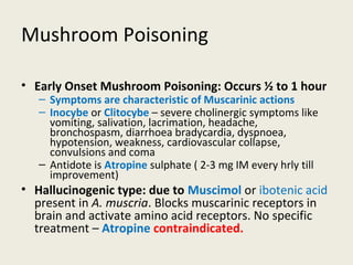 Mushroom Poisoning
• Early Onset Mushroom Poisoning: Occurs ½ to 1 hour
– Symptoms are characteristic of Muscarinic actions
– Inocybe or Clitocybe – severe cholinergic symptoms like vomiting, salivation,
lacrimation, headache, bronchospasm, diarrhoea bradycardia, dyspnoea, hypotension,
weakness, cardiovascular collapse, convulsions and coma
– Antidote is Atropine sulphate ( 2-3 mg IM every hrly till improvement)
• Hallucinogenic type: due to Muscimol or ibotenic acid present in A.
muscria. Blocks muscarinic receptors in brain and activate amino acid
receptors. No specific treatment – Atropine contraindicated.
 