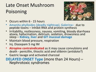 Late Onset Mushroom
Poisoning
• Occurs within 6 - 15 hours
• Amanita phylloides (deadly nightcap), Galerina– due to peptide toxins – Inhibit
RNA and protein synthesis
• Irritability, restlessness, nausea, vomiting, bloody diarrhoea ataxia, hallucination,
delirium, sedation, drowsiness and sleep – Kidney, liver and GIT mucosal damage
• Maintain blood pressure, respiration
• Inj. Diazepam 5 mg IM
• Atropine contraindicated as it may cause convulsions and death - penicillin,
thioctic acid and silibinin (antidote?)
• Gastric lavage and activated charcoal
DELAYED ONSETType (more than 24 Hours) –
Nephrotoxic syndromes
 