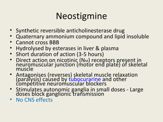 Neostigmine
• Synthetic reversible anticholinesterase drug
• Quaternary ammonium compound and lipid insoluble
• Cannot cross BBB
• Hydrolysed by esterases in liver & plasma
• Short duration of action (3-5 hours)
• Direct action on nicotinic (NM) receptors present in neuromuscular junction (motor
end plate) of skeletal muscle
• Antagonises (reverses) skeletal muscle relaxation (paralysis) caused by
tubocurarine and other competitive neuromuscular blockers
• Stimulates autonomic ganglia in small doses - Large doses block ganglionic
transmission
• No CNS effects
 
