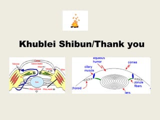 Khublei Shibun/Thank you
 