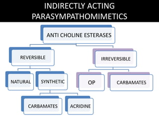 INDIRECTLY ACTING
PARASYMPATHOMIMETICS
ANTI CHOLINE ESTERASES
REVERSIBLE
NATURAL SYNTHETIC
CARBAMATES ACRIDINE
IRREVERSIBLE
OP CARBAMATES
 