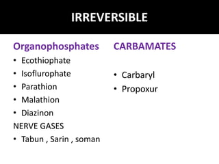 IRREVERSIBLE
Organophosphates
• Ecothiophate
• Isoflurophate
• Parathion
• Malathion
• Diazinon
NERVE GASES
• Tabun , Sarin , soman
CARBAMATES
• Carbaryl
• Propoxur
 