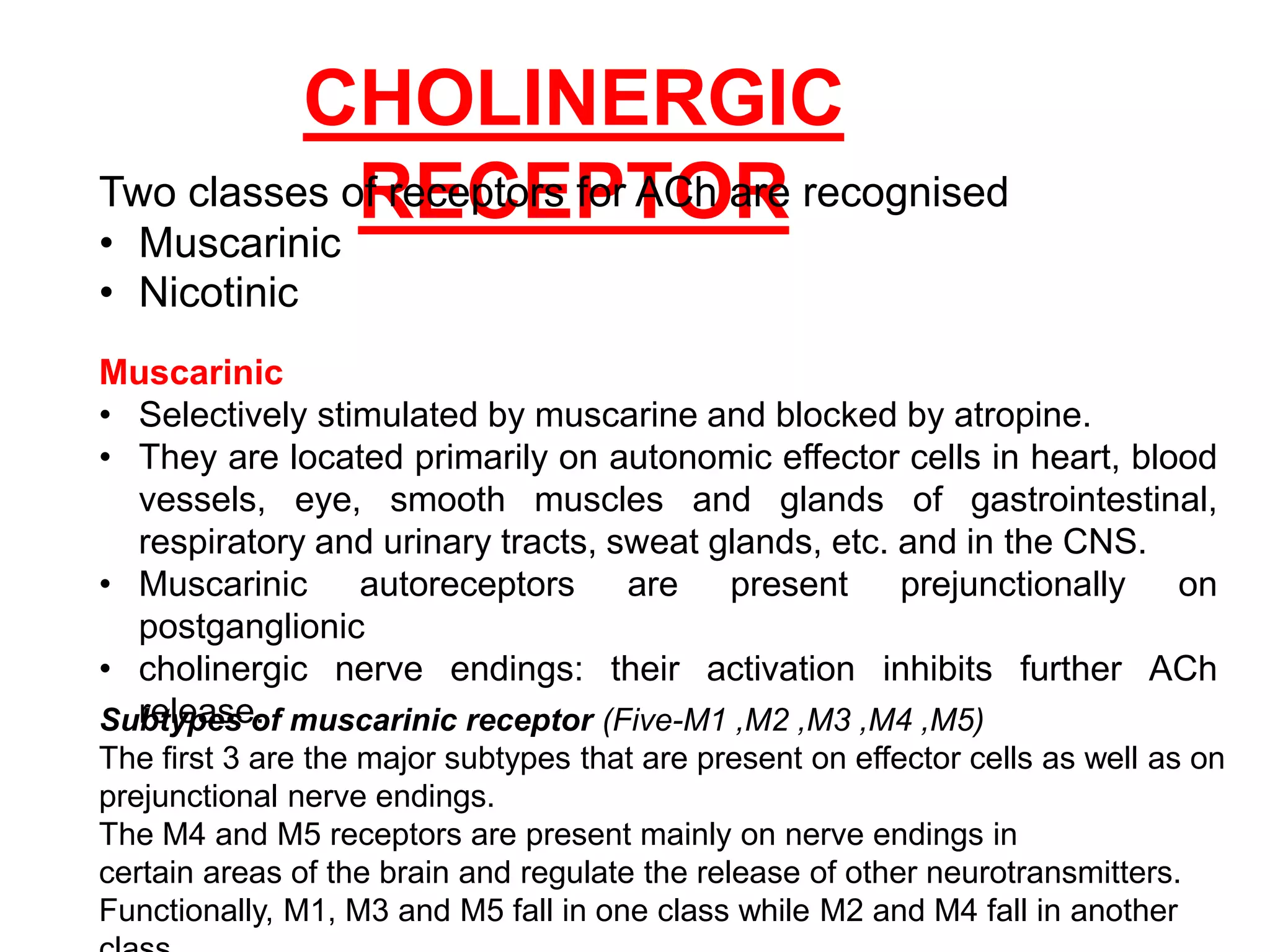 CHOLINERGIC
RECEPTOR
10
Two classes of receptors for ACh are recognised
• Muscarinic
• Nicotinic
Muscarinic
• Selectively stimulated by muscarine and blocked by atropine.
• They are located primarily on autonomic effector cells in heart, blood
vessels, eye, smooth muscles and glands of gastrointestinal,
respiratory and urinary tracts, sweat glands, etc. and in the CNS.
• Muscarinic autoreceptors are present prejunctionally on
postganglionic
• cholinergic nerve endings: their activation inhibits further ACh
release.
Subtypes of muscarinic receptor (Five-M1 ,M2 ,M3 ,M4 ,M5)
The first 3 are the major subtypes that are present on effector cells as well as on
prejunctional nerve endings.
The M4 and M5 receptors are present mainly on nerve endings in
certain areas of the brain and regulate the release of other neurotransmitters.
Functionally, M1, M3 and M5 fall in one class while M2 and M4 fall in another
 
