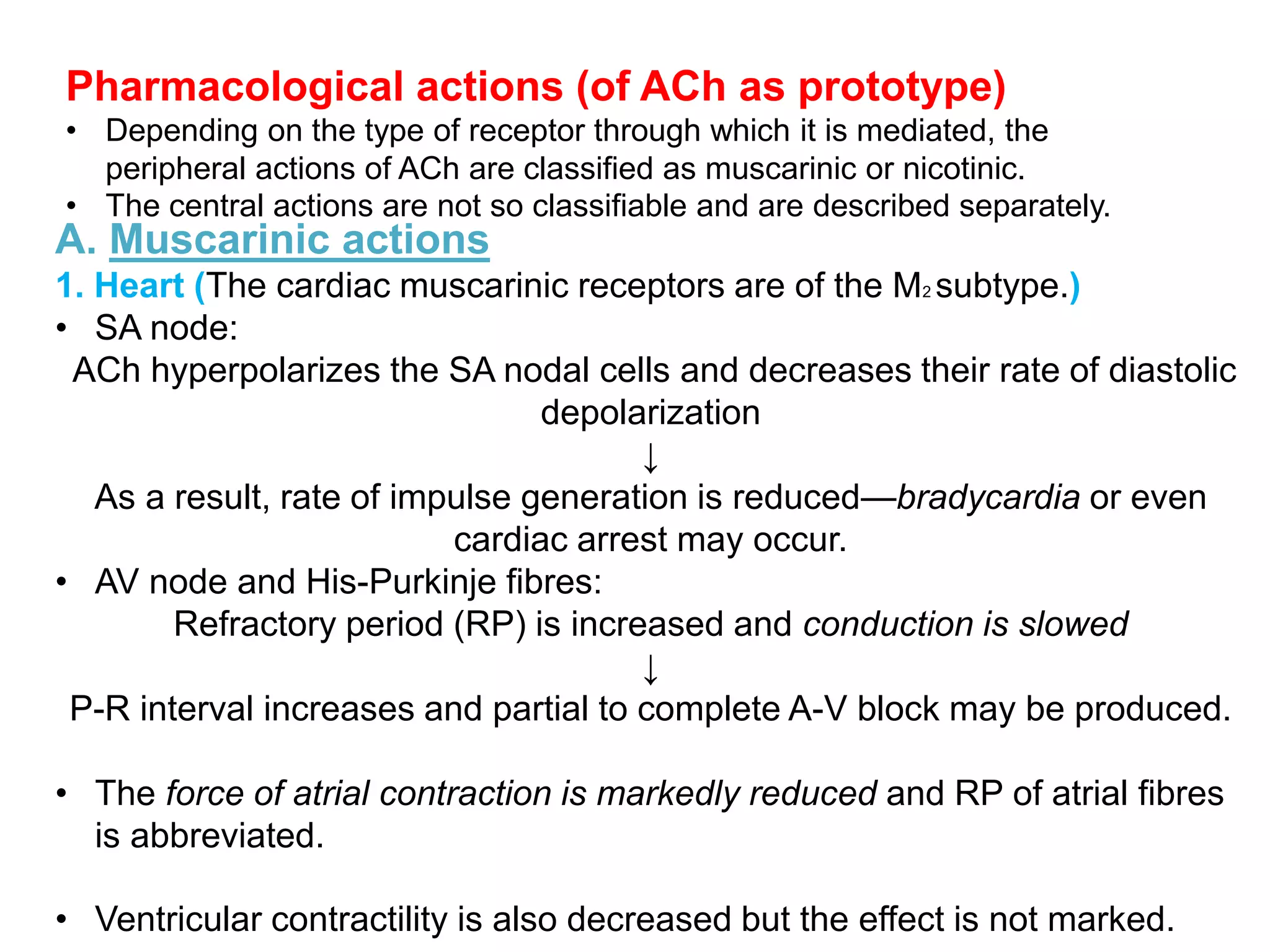 Pharmacological actions (of ACh as prototype)
• Depending on the type of receptor through which it is mediated, the
peripheral actions of ACh are classified as muscarinic or nicotinic.
• The central actions are not so classifiable and are described separately.
A. Muscarinic actions
1. Heart (The cardiac muscarinic receptors are of the M2 subtype.)
• SA node:
ACh hyperpolarizes the SA nodal cells and decreases their rate of diastolic
depolarization
↓
As a result, rate of impulse generation is reduced—bradycardia or even
cardiac arrest may occur.
• AV node and His-Purkinje fibres:
Refractory period (RP) is increased and conduction is slowed
↓
P-R interval increases and partial to complete A-V block may be produced.
• The force of atrial contraction is markedly reduced and RP of atrial fibres
is abbreviated.
• Ventricular contractility is also decreased but the effect is not marked.
 