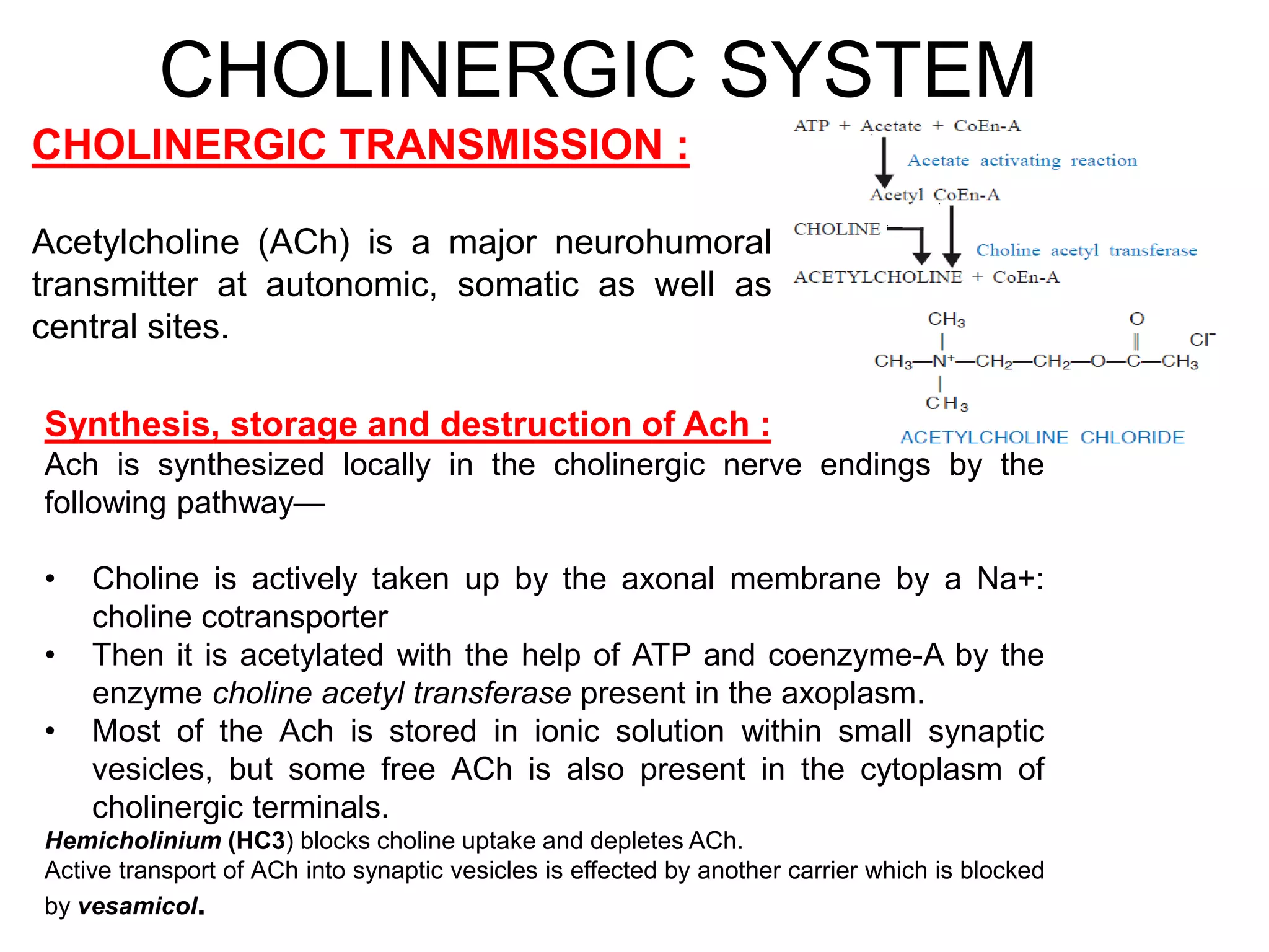 CHOLINERGIC SYSTEM
CHOLINERGIC TRANSMISSION :
Acetylcholine (ACh) is a major neurohumoral
transmitter at autonomic, somatic as well as
central sites.
Synthesis, storage and destruction of Ach :
Ach is synthesized locally in the cholinergic nerve endings by the
following pathway—
• Choline is actively taken up by the axonal membrane by a Na+:
choline cotransporter
• Then it is acetylated with the help of ATP and coenzyme-A by the
enzyme choline acetyl transferase present in the axoplasm.
• Most of the Ach is stored in ionic solution within small synaptic
vesicles, but some free ACh is also present in the cytoplasm of
cholinergic terminals.
Hemicholinium (HC3) blocks choline uptake and depletes ACh.
Active transport of ACh into synaptic vesicles is effected by another carrier which is blocked
by vesamicol.
 
