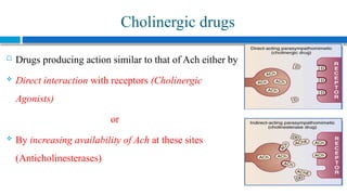 Comprehensive Overview of the Cholinergic System and Pharmacology of ...