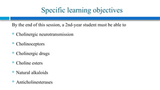 Comprehensive Overview of the Cholinergic System and Pharmacology of ...