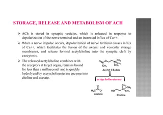Cholinergics and anti cholinergic drugs | PDF