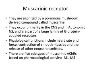 Muscarinic receptor
• They are agonized by a poisonous mushroom
derived compound called muscarine
• They occur primarily in the CNS and in Autonomic
NS, and are part of a large family of G-protein-
coupled receptors
• Physiological functions include heart rate and
force, contraction of smooth muscles and the
release of other neurotransmitters.
• There are five subtypes of muscarinic AChRs
based on pharmacological activity: M1-M5
 