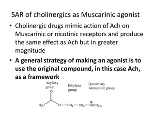H3C O
O
CH2 CH2 N(CH3)3
Quaternary
Ammonum group
Ethylene
group
Acyloxy
group
SAR of cholinergics as Muscarinic agonist
• Cholinergic drugs mimic action of Ach on
Muscarinic or nicotinic receptors and produce
the same effect as Ach but in greater
magnitude
• A general strategy of making an agonist is to
use the original compound, in this case Ach,
as a framework
 