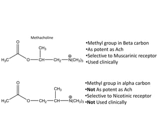 •Methyl group in Beta carbon
•As potent as Ach
•Selective to Muscarinic receptor
•Used clinically
•Methyl group in alpha carbon
•Not As potent as Ach
•Selective to Nicotinic receptor
•Not Used clinically
Methacholine
H3C O
O
CH2 CH N(CH3)3
CH3
H3C O
O
CH CH2 N(CH3)3
CH3
 