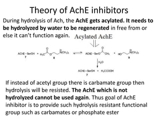 Theory of AchE inhibitors
If instead of acetyl group there is carbamate group then
hydrolysis will be resisted. The AchE which is not
hydrolyzed cannot be used again. Thus goal of AchE
inhibitor is to provide such hydrolysis resistant functional
group such as carbamates or phosphate ester
During hydrolysis of Ach, the AchE gets acylated. It needs to
be hydrolyzed by water to be regenerated in free from or
else it can’t function again.
 