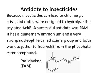 Antidote to insecticides
Because insecticides can lead to chloinergic
crisis, antidotes were designed to hydrolyze the
acylated AchE. A successful antidote was PAM
It has a quaternary ammonium and a very
strong nucleophile called oxime group and both
work together to free AchE from the phosphate
ester compounds
Pralidoxime
(PAM)
 