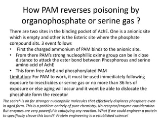 How PAM reverses poisoning by
organophosphate or serine gas ?
There are two sites in the binding pocket of AchE. One is a anionic site
which is empty and other is the Esteric site where the phosphate
compound sits. 3 event follows
• First the charged ammonium of PAM binds to the anionic site.
• From there PAM’s strong nucleophillic oxime group can be in close
distance to attack the ester bond between Phosphorous and serine
amino acid of AchE
• This form free AchE and phosphorylated PAM
Limitation: For PAM to work, it must be used immediately following
exposure to insecticides or serine gas or no more than 36 hrs of
exposure or else aging will occur and it wont be able to dislocate the
phosphate form the receptor
The search is on for stronger nucleophilic molecules that effectively displaces phosphate even
in aged form. This is a problem entirely of pure chemistry. No receptor/enzyme consideration
But enzymes are very powerful in catalyzing any reaction. What if we could engineer a protein
to specifically cleave this bond? Protein engineering is a established science!
 