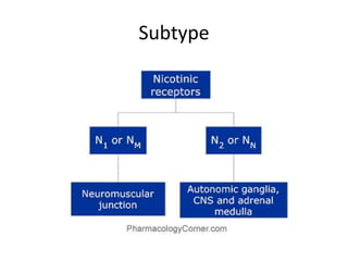 Subtype
 