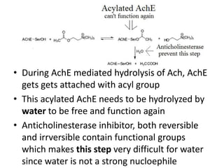 • During AchE mediated hydrolysis of Ach, AchE
gets gets attached with acyl group
• This acylated AchE needs to be hydrolyzed by
water to be free and function again
• Anticholinesterase inhibitor, both reversible
and irrversible contain functional groups
which makes this step very difficult for water
since water is not a strong nucloephile
 