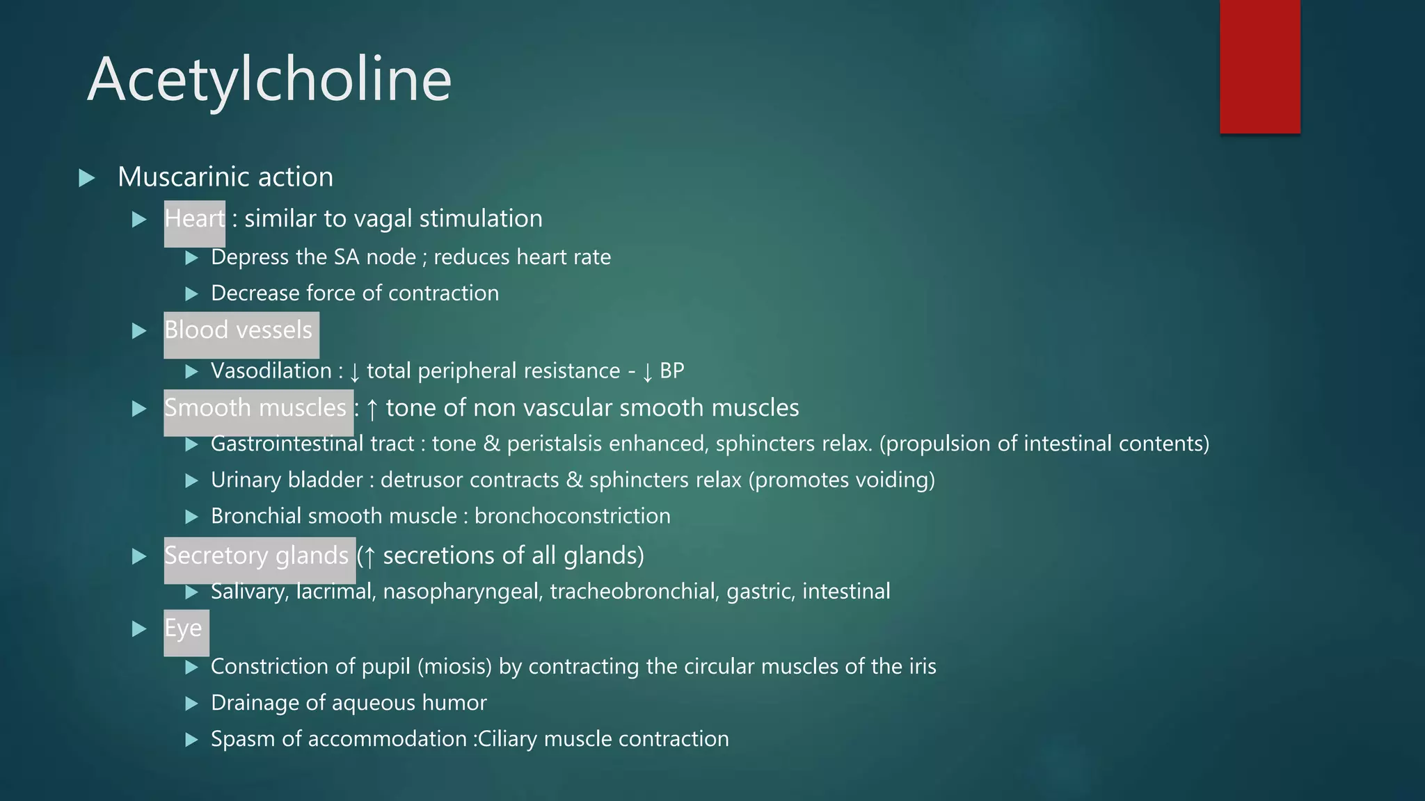 Acetylcholine
 Muscarinic action
 Heart : similar to vagal stimulation
 Depress the SA node ; reduces heart rate
 Decrease force of contraction
 Blood vessels
 Vasodilation : ↓ total peripheral resistance - ↓ BP
 Smooth muscles : ↑ tone of non vascular smooth muscles
 Gastrointestinal tract : tone & peristalsis enhanced, sphincters relax. (propulsion of intestinal contents)
 Urinary bladder : detrusor contracts & sphincters relax (promotes voiding)
 Bronchial smooth muscle : bronchoconstriction
 Secretory glands (↑ secretions of all glands)
 Salivary, lacrimal, nasopharyngeal, tracheobronchial, gastric, intestinal
 Eye
 Constriction of pupil (miosis) by contracting the circular muscles of the iris
 Drainage of aqueous humor
 Spasm of accommodation :Ciliary muscle contraction
 