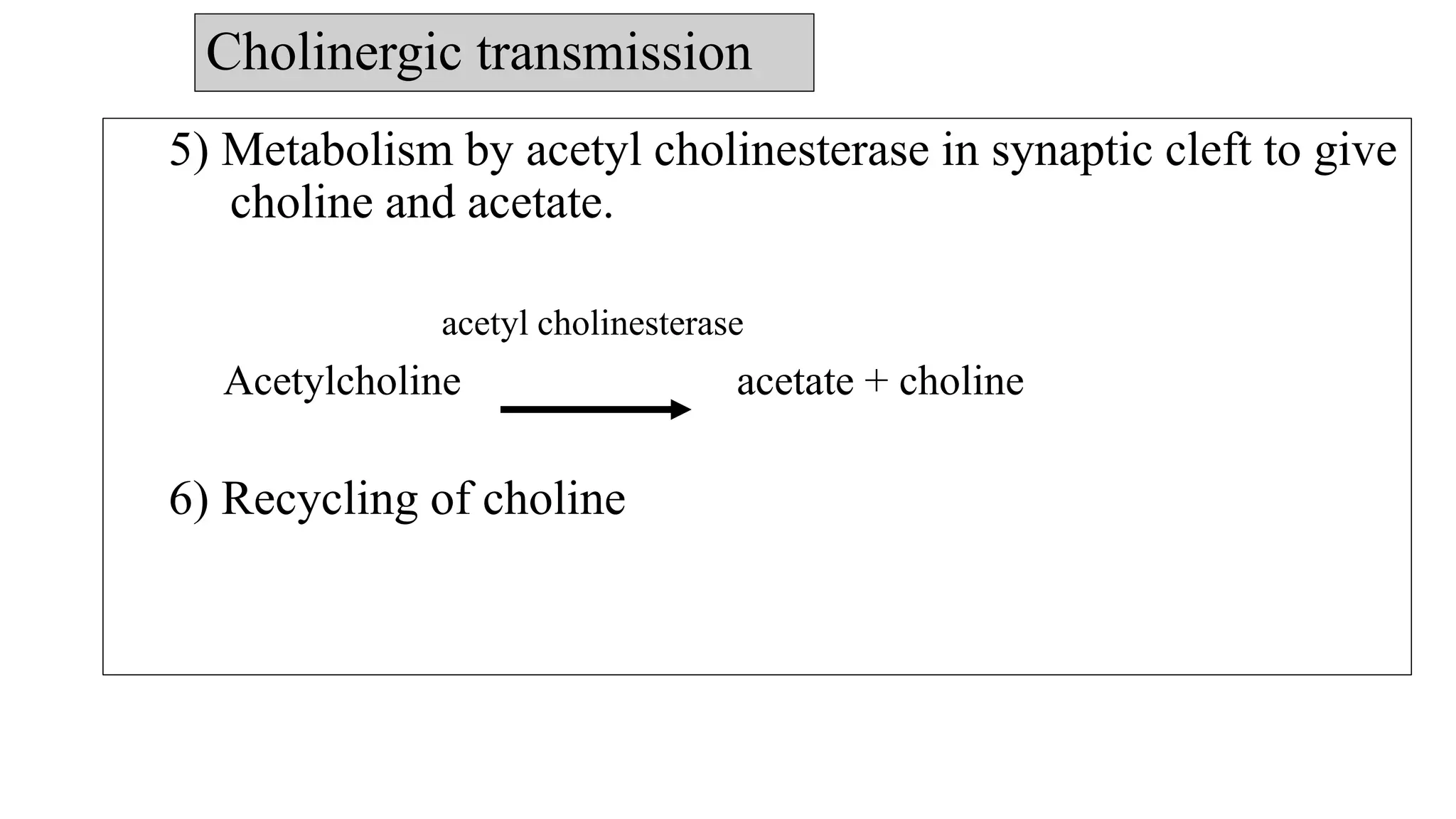 Cholinergic transmission
5) Metabolism by acetyl cholinesterase in synaptic cleft to give
choline and acetate.
acetyl cholinesterase
Acetylcholine acetate + choline
6) Recycling of choline
 
