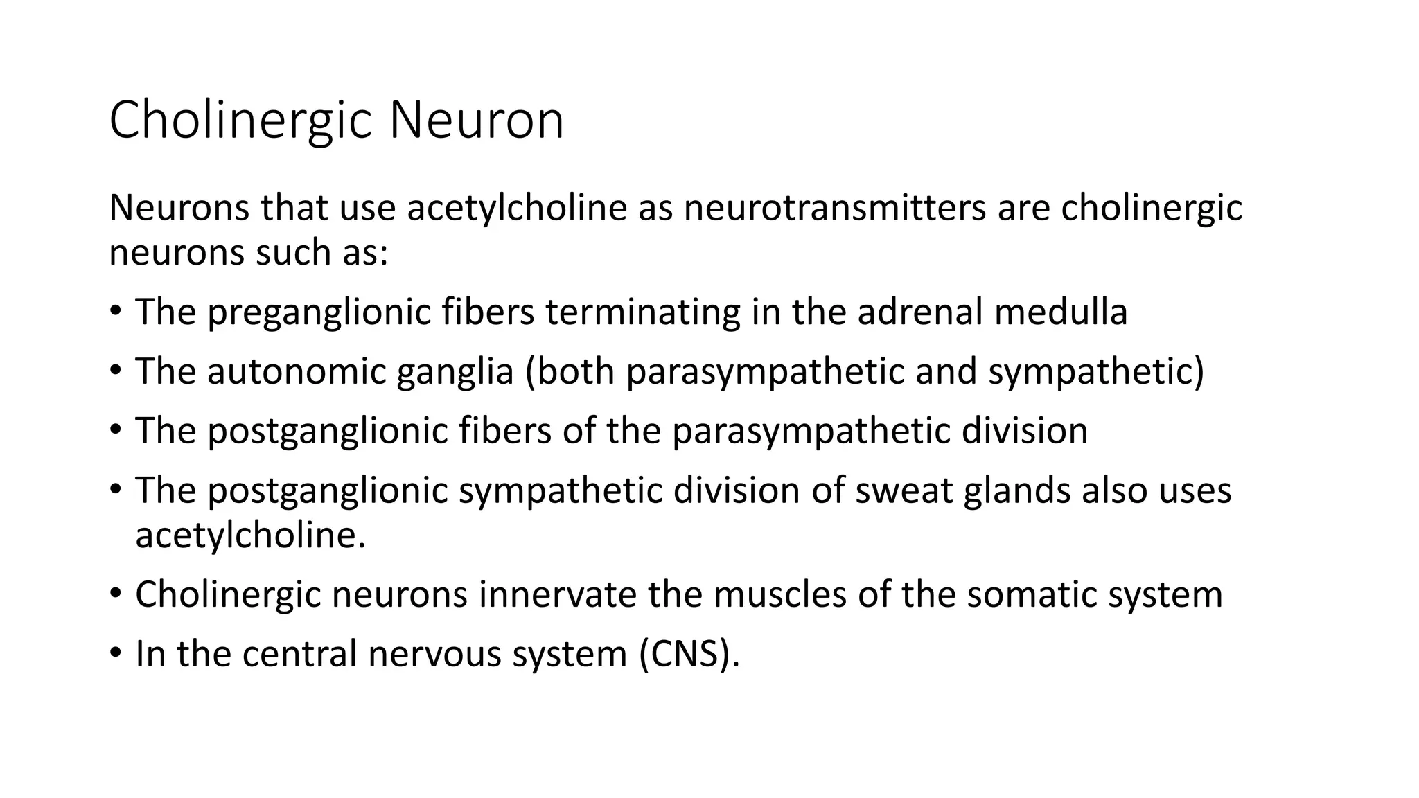 Cholinergic Neuron
Neurons that use acetylcholine as neurotransmitters are cholinergic
neurons such as:
• The preganglionic fibers terminating in the adrenal medulla
• The autonomic ganglia (both parasympathetic and sympathetic)
• The postganglionic fibers of the parasympathetic division
• The postganglionic sympathetic division of sweat glands also uses
acetylcholine.
• Cholinergic neurons innervate the muscles of the somatic system
• In the central nervous system (CNS).
 