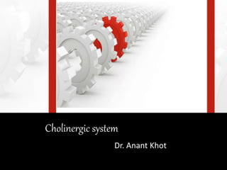 Cholinergic system
Dr. Anant Khot
 