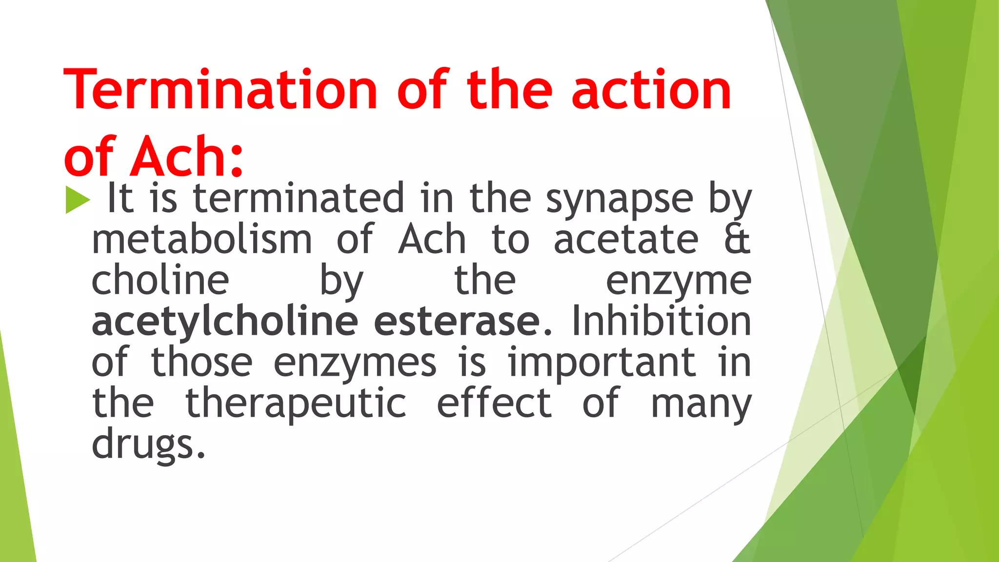 Termination of the action
of Ach:
 It is terminated in the synapse by
metabolism of Ach to acetate &
choline by the enzyme
acetylcholine esterase. Inhibition
of those enzymes is important in
the therapeutic effect of many
drugs.
 
