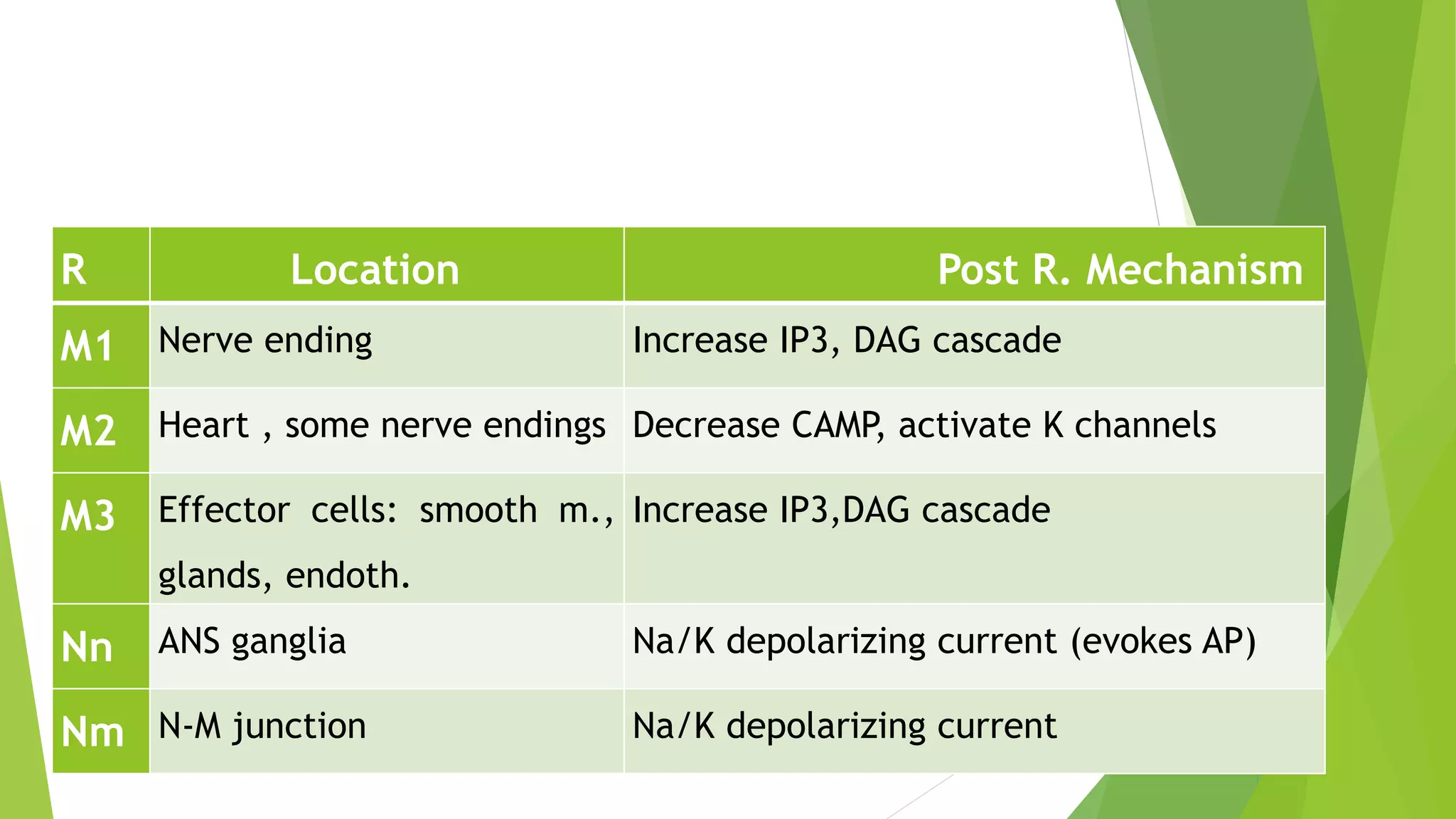 R Location Post R. Mechanism
M1 Nerve ending Increase IP3, DAG cascade
M2 Heart , some nerve endings Decrease CAMP, activate K channels
M3 Effector cells: smooth m.,
glands, endoth.
Increase IP3,DAG cascade
Nn ANS ganglia Na/K depolarizing current (evokes AP)
Nm N-M junction Na/K depolarizing current
 