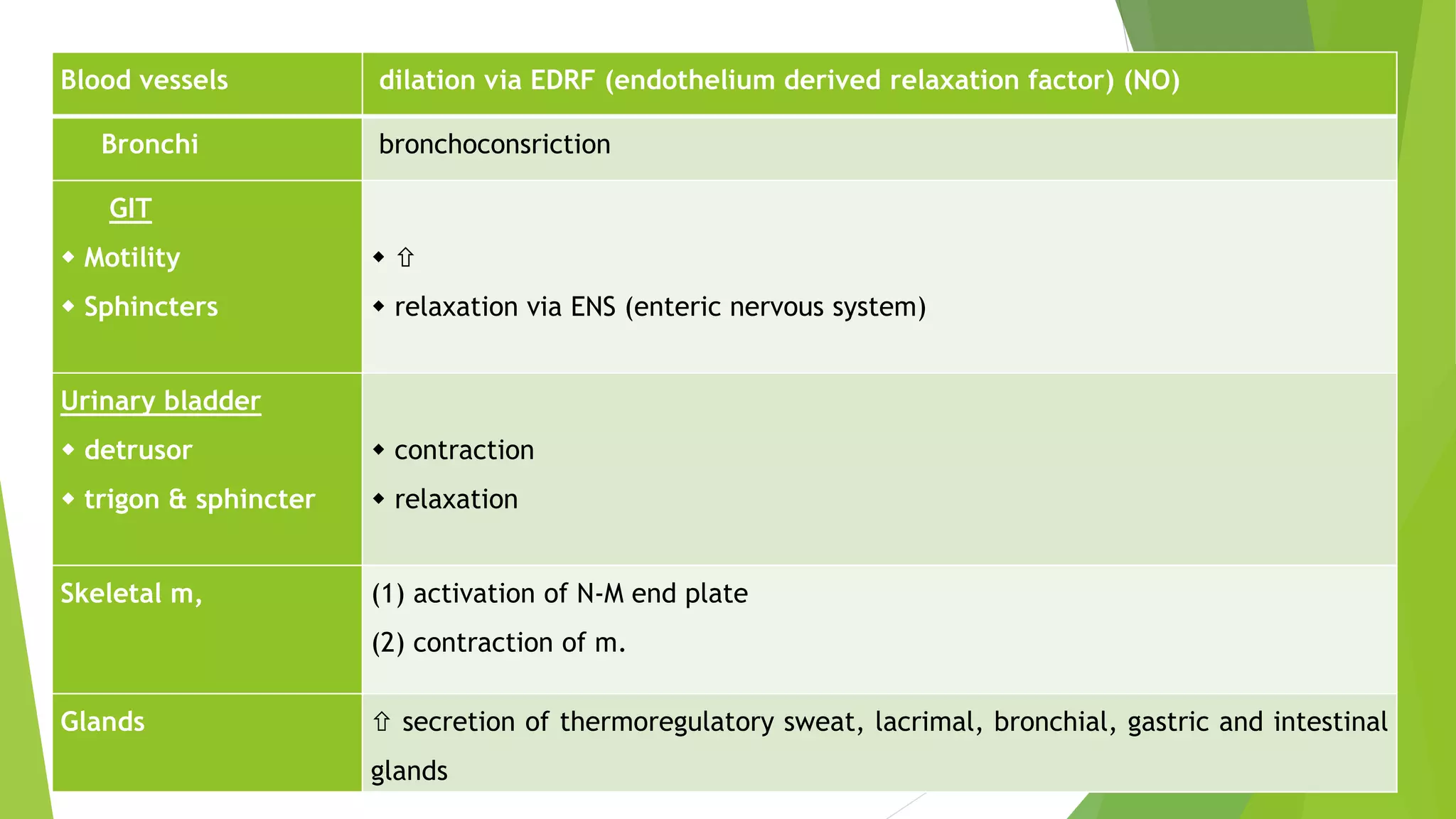 Blood vessels dilation via EDRF (endothelium derived relaxation factor) (NO)
Bronchi bronchoconsriction
GIT
 Motility
 Sphincters
 
 relaxation via ENS (enteric nervous system)
Urinary bladder
 detrusor
 trigon & sphincter
 contraction
 relaxation
Skeletal m, (1) activation of N-M end plate
(2) contraction of m.
Glands  secretion of thermoregulatory sweat, lacrimal, bronchial, gastric and intestinal
glands
 
