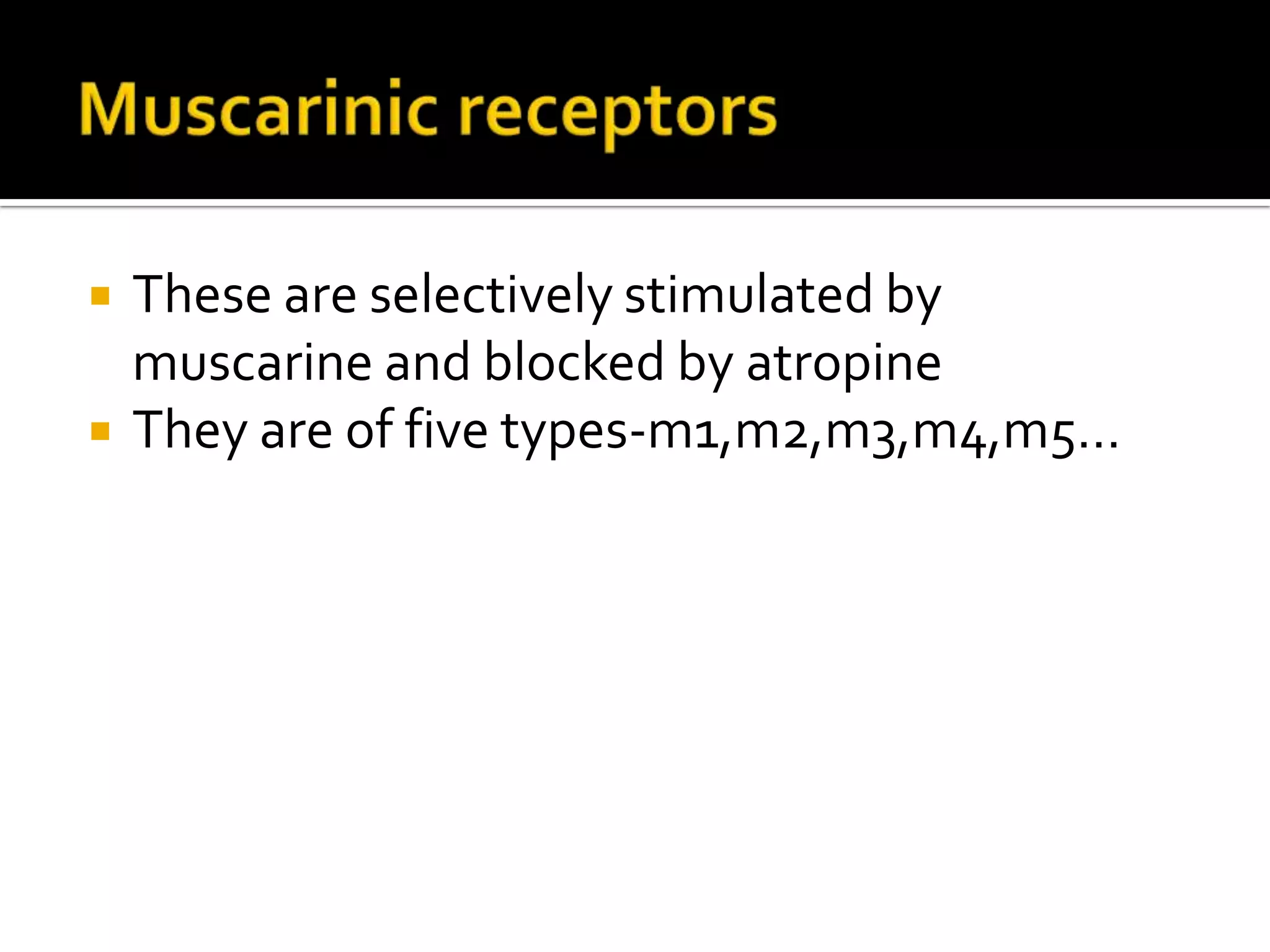  These are selectively stimulated by
muscarine and blocked by atropine
 They are of five types-m1,m2,m3,m4,m5…
 