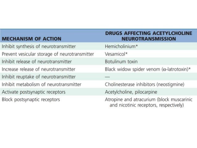 Exelon patch to oral conversion