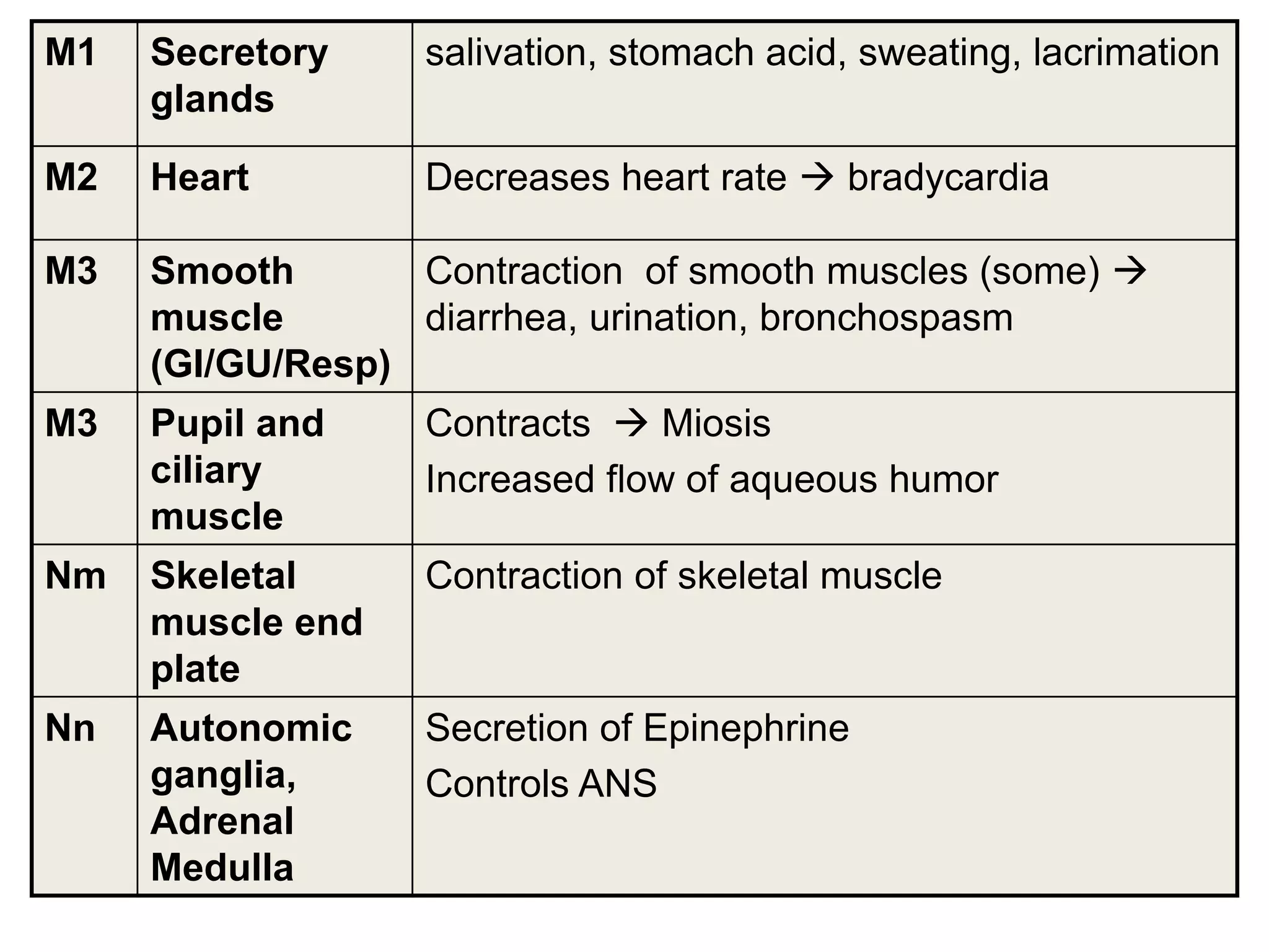M1 Secretory
glands
salivation, stomach acid, sweating, lacrimation
M2 Heart Decreases heart rate  bradycardia
M3 Smooth
muscle
(GI/GU/Resp)
Contraction of smooth muscles (some) 
diarrhea, urination, bronchospasm
M3 Pupil and
ciliary
muscle
Contracts  Miosis
Increased flow of aqueous humor
Nm Skeletal
muscle end
plate
Contraction of skeletal muscle
Nn Autonomic
ganglia,
Adrenal
Medulla
Secretion of Epinephrine
Controls ANS
 