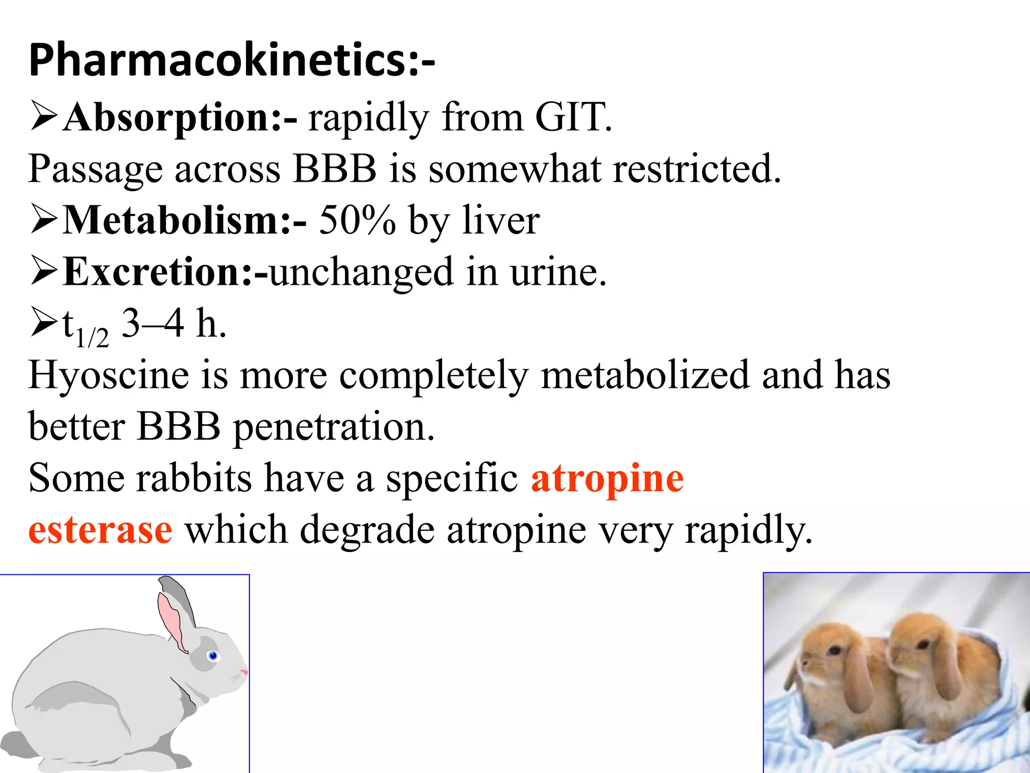 Pharmacokinetics:-
Absorption:- rapidly from GIT.
Passage across BBB is somewhat restricted.
Metabolism:- 50% by liver
Excretion:-unchanged in urine.
t1/2 3–4 h.
Hyoscine is more completely metabolized and has
better BBB penetration.
Some rabbits have a specific atropine
esterase which degrade atropine very rapidly.
 
