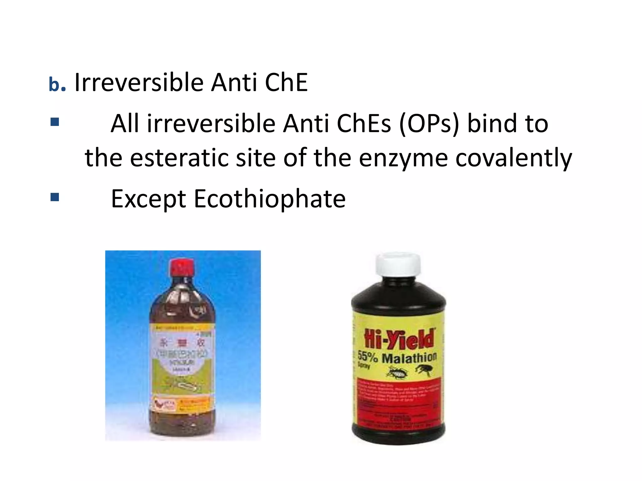 b. Irreversible Anti ChE
 All irreversible Anti ChEs (OPs) bind to
the esteratic site of the enzyme covalently
 Except Ecothiophate
 