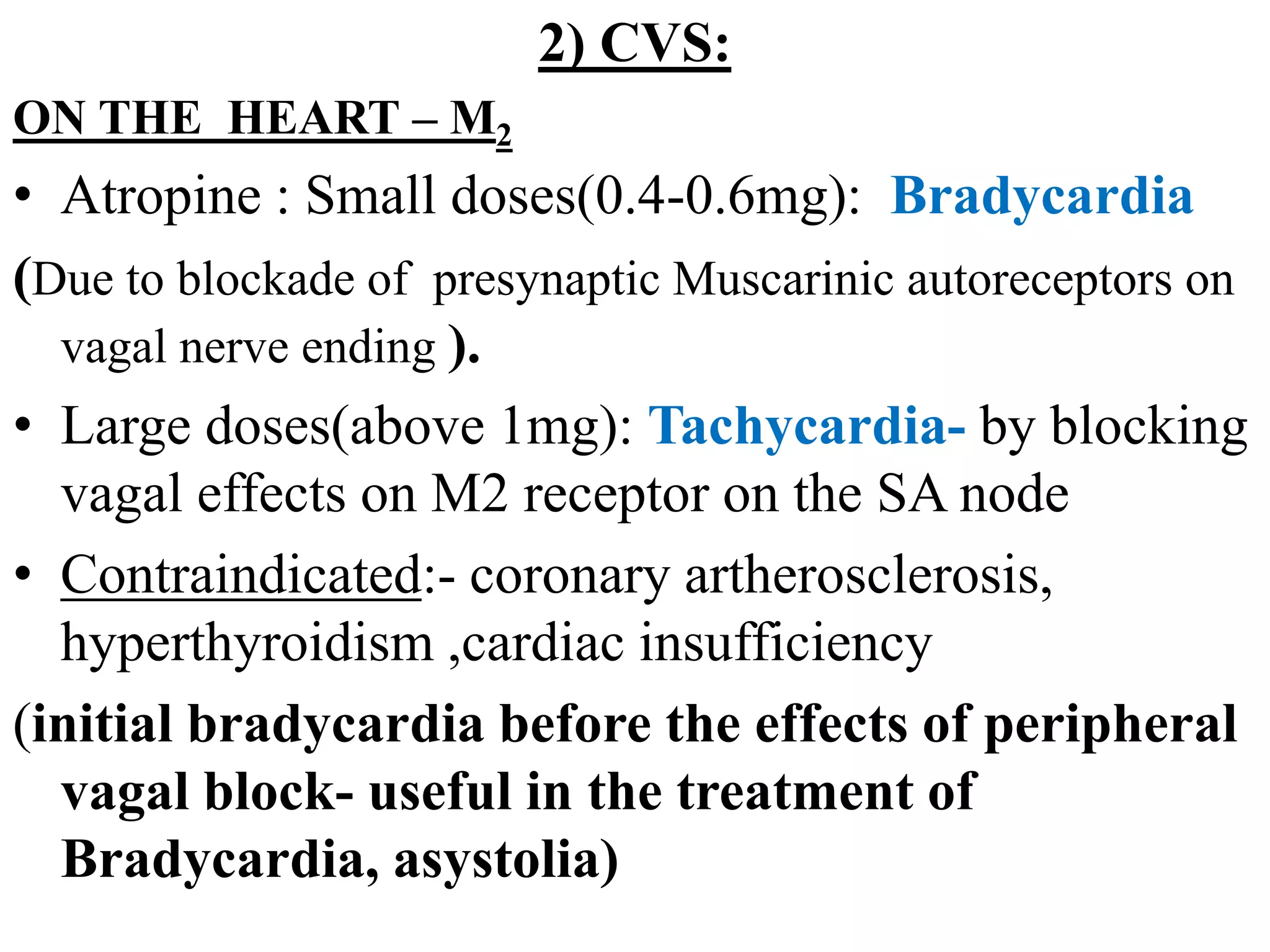 2) CVS:
ON THE HEART – M2
• Atropine : Small doses(0.4-0.6mg): Bradycardia
(Due to blockade of presynaptic Muscarinic autoreceptors on
vagal nerve ending ).
• Large doses(above 1mg): Tachycardia- by blocking
vagal effects on M2 receptor on the SA node
• Contraindicated:- coronary artherosclerosis,
hyperthyroidism ,cardiac insufficiency
(initial bradycardia before the effects of peripheral
vagal block- useful in the treatment of
Bradycardia, asystolia)
 