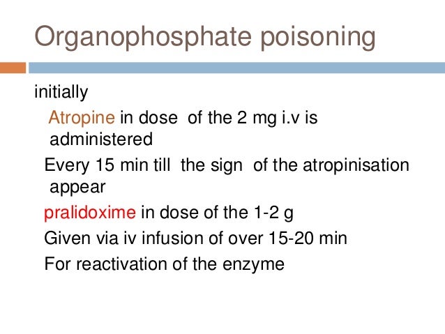 Cholinergic transmission and drugs