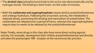 • The alcohol class (edrophonium) binds to the active site electrostatically and by
hydrogen bonds.The binding is short lived—on the order of minutes.
• Both the carbamate and organophosphate classes bind to acetylcholinesterase
and undergo hydrolysis. Following this enzymatic activity, the metabolite is
released slowly, preventing the binding and inactivation of acetylcholine.The
carbamates are released over a period of hours, whereas the organophosphates
require days to weeks to be released by the acetylcholinesterase
Note: Finally, some drugs in this class also have some direct-acting agonist
activity. For example, neostigmine both inhibits acetylcholinesterase and directly
activates the postsynaptic NM receptor at the neuromuscular junction.
 