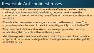 • These drugs have all the same actions and side effects as the direct-acting
cholinergic agonist (muscarinic). In addition, because they increase the
concentration of acetylcholine, they have effects at the neuromuscular junction
(nicotinic).
• The side effects range from tremor, anxiety, and restlessness to coma.The
organophosphates, because of their lipid solubility, rapidly cross into the CNS.
• They cause fasciculation and weakness in normal people and can improve
muscle strength in patients with myasthenia gravis.
• Myasthenia gravis is an immune disease in which there is loss of acetylcholine
receptors at the neuromuscular junction, resulting in weakness and fatigability
of skeletal muscle.
 