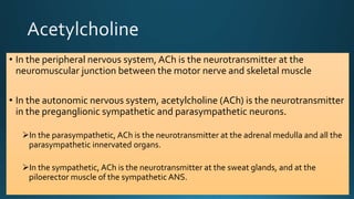 • In the peripheral nervous system, ACh is the neurotransmitter at the
neuromuscular junction between the motor nerve and skeletal muscle
• In the autonomic nervous system, acetylcholine (ACh) is the neurotransmitter
in the preganglionic sympathetic and parasympathetic neurons.
In the parasympathetic, ACh is the neurotransmitter at the adrenal medulla and all the
parasympathetic innervated organs.
In the sympathetic, ACh is the neurotransmitter at the sweat glands, and at the
piloerector muscle of the sympathetic ANS.
 