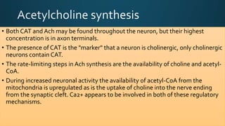 • Both CAT and Ach may be found throughout the neuron, but their highest
concentration is in axon terminals.
• The presence of CAT is the "marker" that a neuron is cholinergic, only cholinergic
neurons contain CAT.
• The rate-limiting steps in Ach synthesis are the availability of choline and acetyl-
CoA.
• During increased neuronal activity the availability of acetyl-CoA from the
mitochondria is upregulated as is the uptake of choline into the nerve ending
from the synaptic cleft. Ca2+ appears to be involved in both of these regulatory
mechanisms.
 