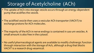 • The uptake of ACh into storage vesicle occurs through an energy-dependent
pump that acidifies the vesicle.
• The acidified vesicle then uses a vesicular ACh transporter (VAChT) to
exchange protons for ACh molecules.
• The majority of the ACh in nerve endings is contained in 100 um vesicles. A
small amount is also free in the cytosol.
• No useful pharmacological agents are available to modify cholinergic function
through interaction with the storage of Ach, although a drug that blocks
VAChT is a research drug vesamicol.
 