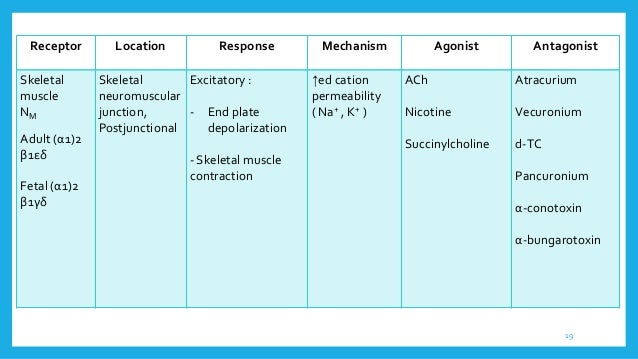 secretion of acetylcholinesterase and butyrylcholinesterase from Butyrylcholinesterase (buche), a closely related cholinester- ase (che) differing from ache in acyl group selectivity, shares many of the structural features of ache (chatonnet. secretion of acetylcholinesterase and butyrylcholinesterase from Butyrylcholinesterase (buche), a closely related cholinester- ase (che) differing from ache in acyl group selectivity, shares many of the structural features of ache (chatonnet.