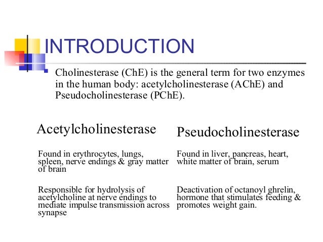S. Cholinesterase estimation