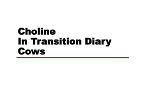 Choline
In Transition Diary
Cows
 