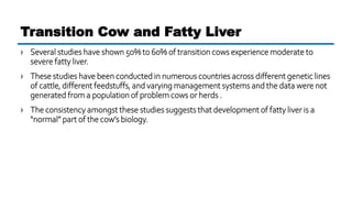 › Several studies have shown 50% to 60% of transition cows experience moderate to
severe fatty liver.
› These studies have been conducted in numerous countries across different genetic lines
of cattle, different feedstuffs, and varying management systems and the data were not
generated from a population of problem cows or herds .
› The consistency amongst these studies suggests that development of fatty liver is a
“normal” part of the cow’s biology.
Transition Cow and Fatty Liver
 