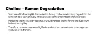 › Sharma and Erdman (1988) demonstrated dietary choline is extensively degraded in the
rumen of dairy cows and very little is available to the small intestine for absorption.
› Increasing choline intake by 300gm/day would increase choline flow to the duodenum
by less than 2 g/day.
› Therefore, ruminants are more highly dependent than nonruminants on endogenous
synthesis of PC from PE.
Choline – Rumen Degradation
 