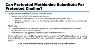 › Things in common between choline and methionine;
– Methionine and choline both serve as methyl donors.
› Methionine methyl groups can be used for endogenous synthesis of PC from PE.
› Choline is oxidized to betaine and the methyl groups can be used for transforming homocysteine to
methionine.
› That’s why;
– Protected methionine has often been suggested as a possible alternative to protected choline for
supplementation to transition dairy cows.
– Protected choline is suggested to be alternative for protected methionine.
› Since, methionine is needed for the synthesis of apolipoproteins (Apolipoproteins are proteins
that bind lipids form lipoproteins.They transport lipids in blood, cerebrospinal fluid and lymph),
again …..
Can Protected Methionine Substitute For Protected Choline?
Can Protected Methionine Substitute For
Protected Choline?
 